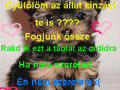 Semmi
